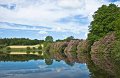 13. Rossmore in summer - Cloud reflection